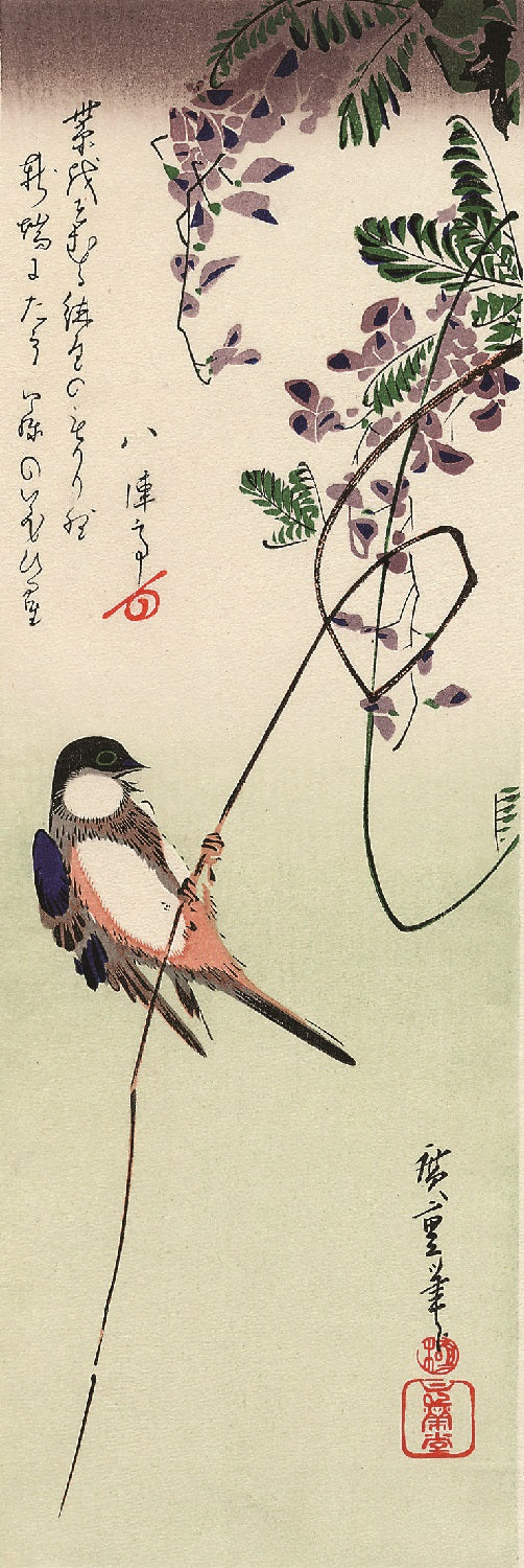 Bird and Wisteria Hiroshige Woodblock Print - Image 2