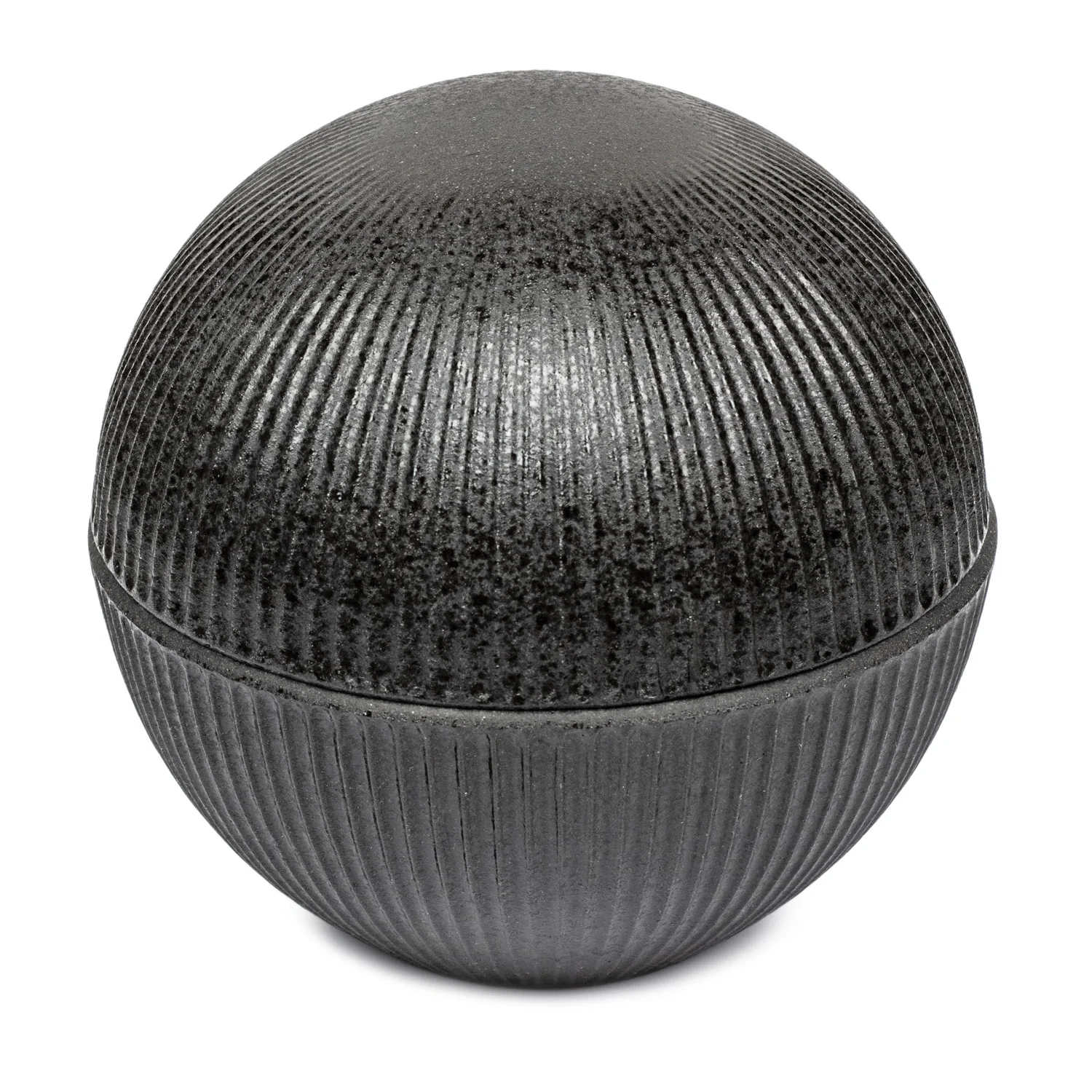 Kokutan Premium Japanese Bowl and Lid